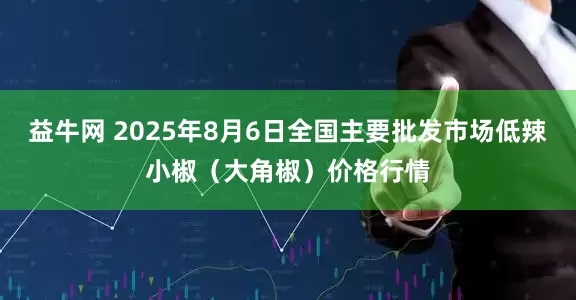 益牛网 2025年8月6日全国主要批发市场低辣小椒（大角椒）价格行情