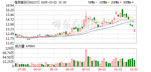 亿盛资产 因未及时披露高管被采取刑事强制措施 恒邦股份收行政监管函