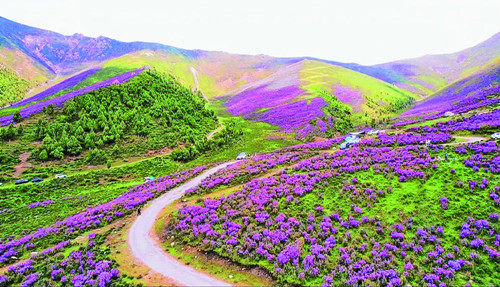 亿策略 青海海东：“文旅 +” 多元融合激活发展新动能 绘就富民兴市新图景